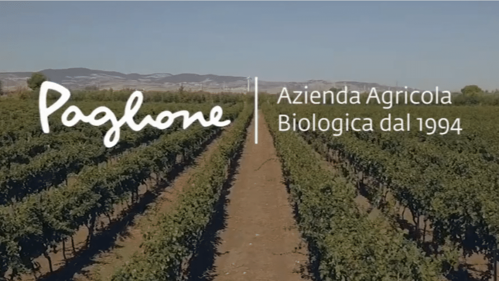 Paglione vineyard in Puglia, home of Cacc’e Mmitte di Lucera and the story behind the second bottle.