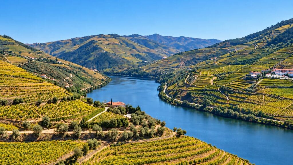 View of the Douro Valley from Quinta do Crasto, with the Douro River winding between steep terraced vineyards under a clear blue sky.