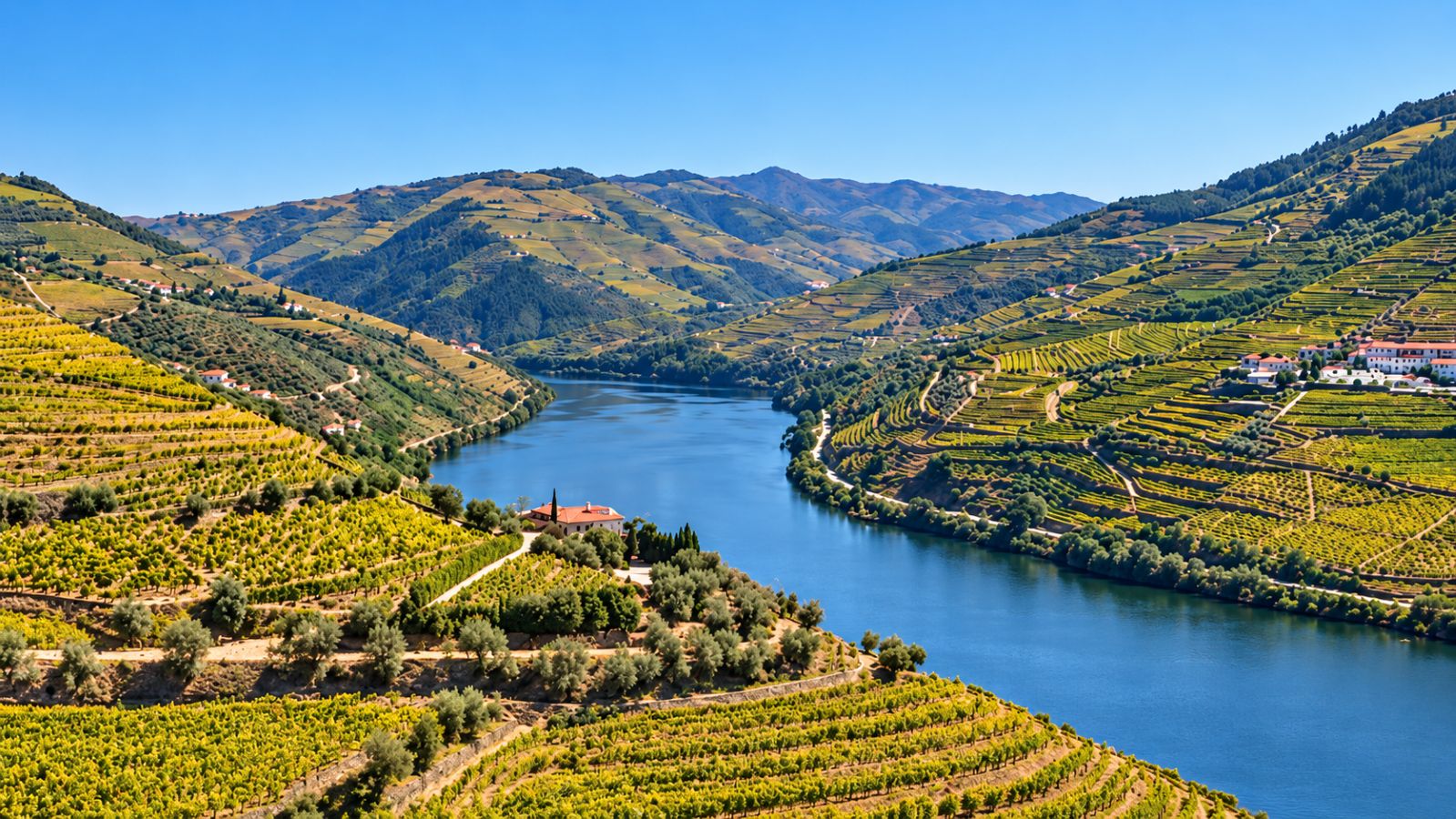 View of the Douro Valley from Quinta do Crasto, with the Douro River winding between steep terraced vineyards under a clear blue sky.